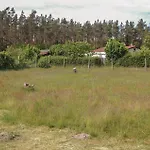 Cozy Apartment In Rostock With Wifi