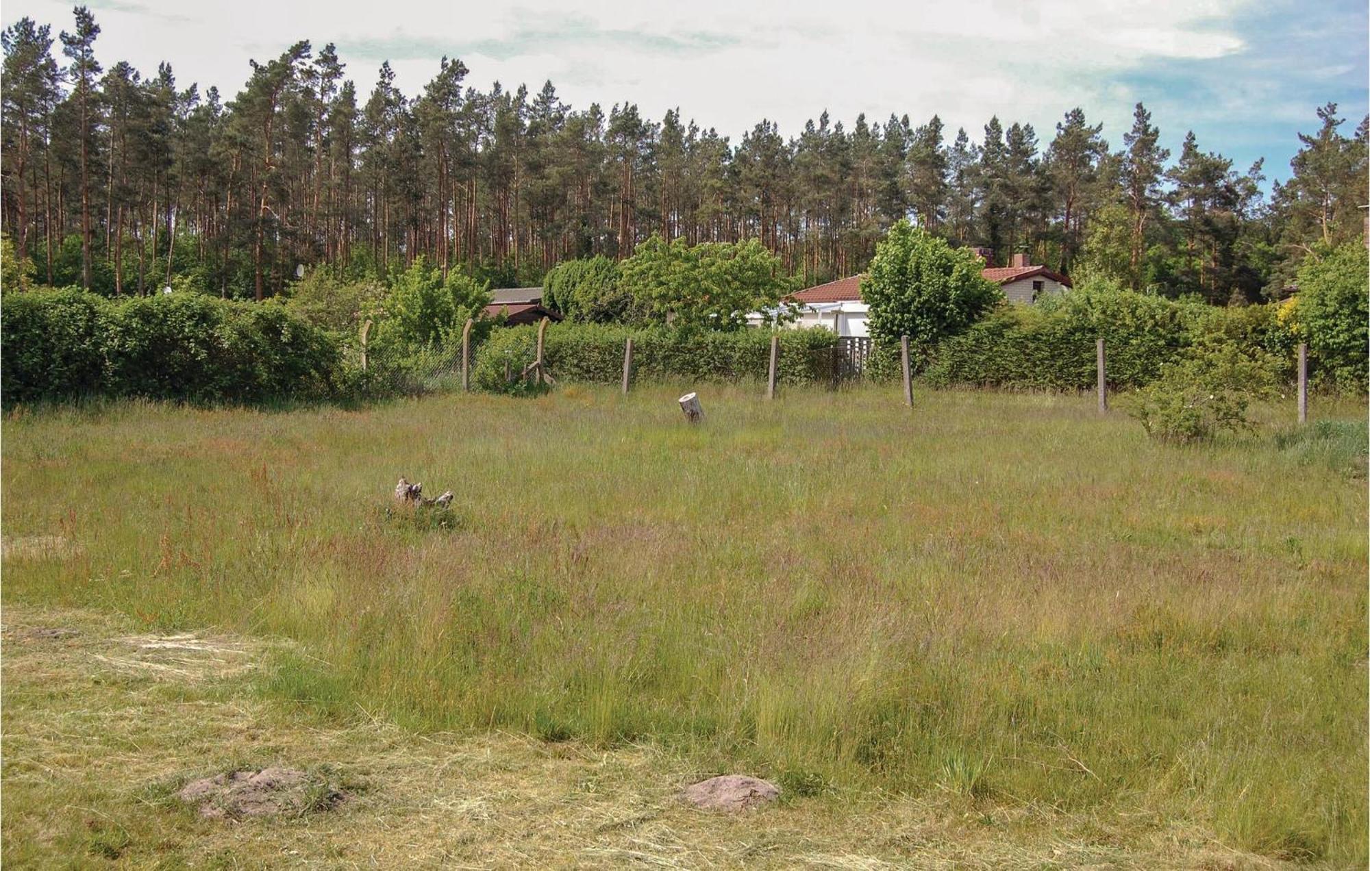 Cozy In With Wifi Rostock